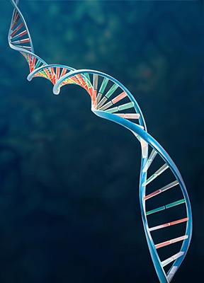 Jakość badań genetycznych – dlaczego jest tak ważna i jak ją weryfikować?